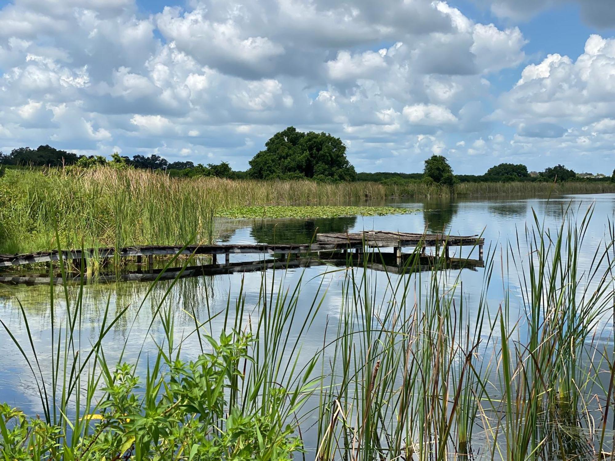 The Scandinavian Contemporary Blauw Lake Alfred ภายนอก รูปภาพ